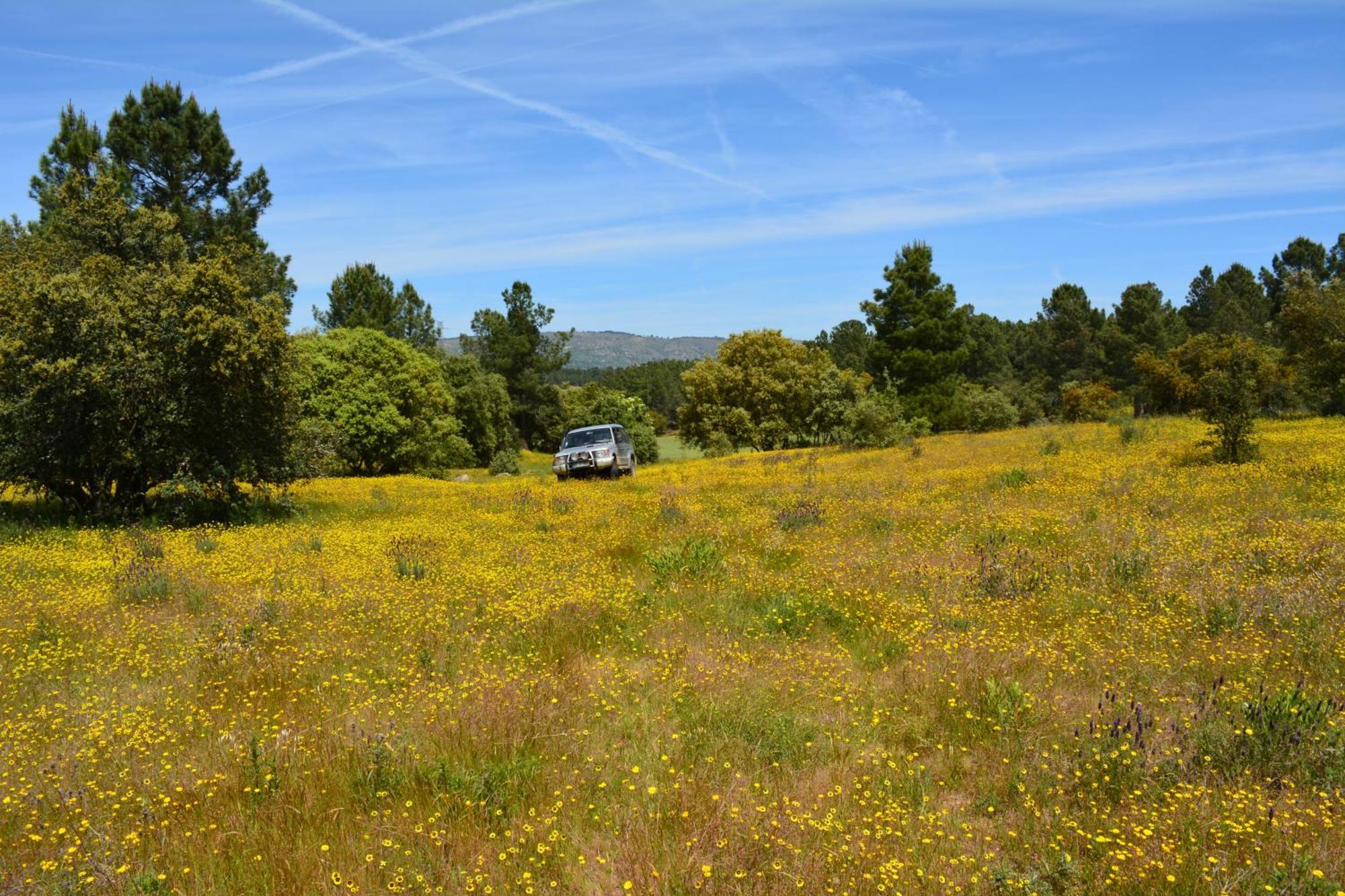 Turismo Rural 4Quintas Minhocal エクステリア 写真